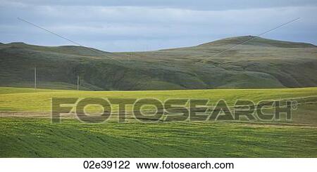 Landscape, farmland pasture below grassy mountains View Large Photo Image Stock Image - Landscape, farmland pasture below grassy mountains. Fotosearch