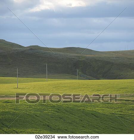 Landscape, pasture and mountain under storm cloud sky View Large Photo Image Picture - Landscape, pasture and mountain under storm cloud sky. Fotosearch