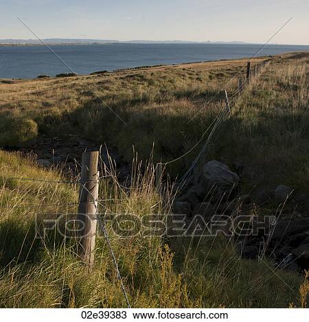 Landscape, pastureland along coastline, with wire fence and gully View Large Photo Image Stock Image - Landscape, pastureland along coastline, with wire fence and gully. Fotosearch
