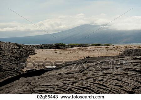 Lava rocks on Punta Espinoza, Fernandina Island, Galapagos Islands, Ecuador View Large Photo Image Stock Image - Lava rocks on Punta Espinoza, Fernandina Island, Galapagos Islands, Ecuador. Fotosearch