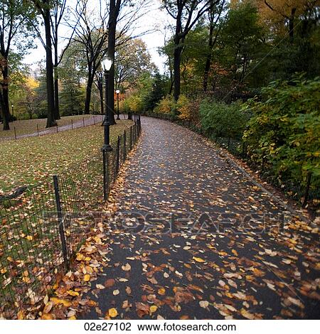 Leaves on a pathway leading through Central Park. View Large Photo Image Stock Image - Leaves on a pathway leading through Central Park.. Fotosearch