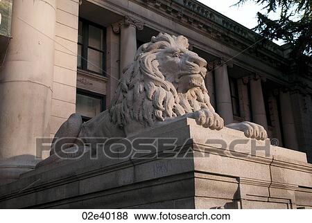 Lion sculpture at the Vancouver Art Gallery in Vancouver, British Columbia, Canada View Large Photo Image Stock Photo - Lion sculpture at the Vancouver Art Gallery in Vancouver, British Columbia, Canada. Fotosearch