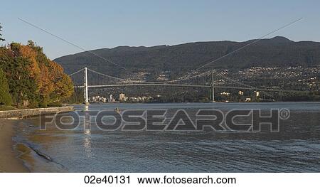 Lions Gate Bridge in Vancouver, British Columbia, Canada View Large Photo Image Stock Image - Lions Gate Bridge in Vancouver, British Columbia, Canada. Fotosearch