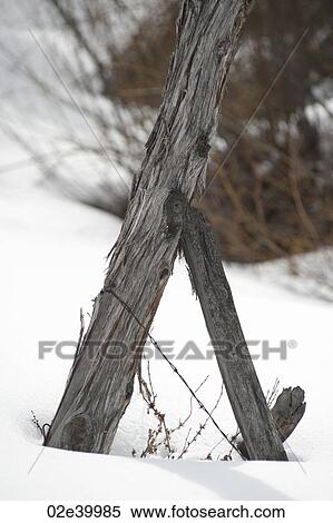 Logs in the snow in Vail, Colorado View Large Photo Image Stock Photography - Logs in the snow in Vail, Colorado. Fotosearch