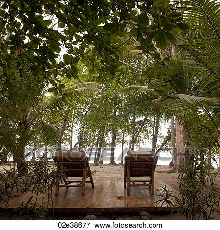 Lounge chairs on a deck in Costa Rica View Large Photo Image Stock Photo - Lounge chairs on a deck in Costa Rica. Fotosearch
