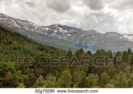 Low angle view of mountains, Norway View Large Photo Image Stock Photo - Low angle view of mountains, Norway. Fotosearch