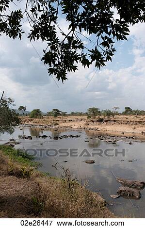 Mara River in Kenya View Large Photo Image Stock Photo - Mara River in Kenya. Fotosearch