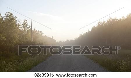 Mist hovering over a dirt road in Lake of the Woods, Ontario View Large Photo Image Stock Photography - Mist hovering over a dirt road in Lake of the Woods, Ontario. Fotosearch