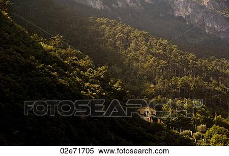Mountainside with lush greenery View Large Photo Image Stock Photography - Mountainside with lush greenery. Fotosearch