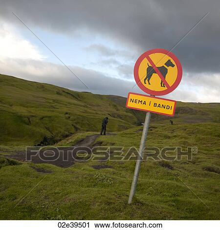 No Dogs signpost on hilly grass hiking trail View Large Photo Image Stock Image - No Dogs signpost on hilly grass hiking trail. Fotosearch