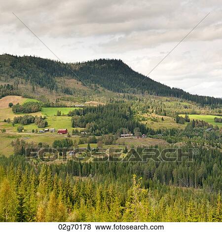 Panoramic view of highlands, Norway View Large Photo Image Stock Photo - Panoramic view of highlands, Norway. Fotosearch
