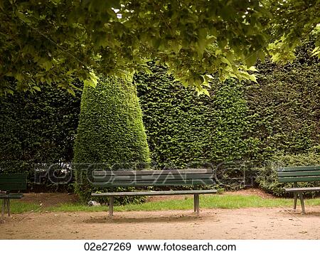 Park benches in Paris France View Large Photo Image Stock Photo - Park benches in Paris France. Fotosearch