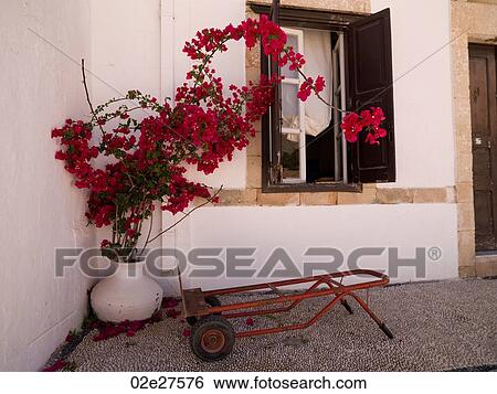 Planter with flowers in Rhodes Greece View Large Photo Image Stock Photograph - Planter with flowers in Rhodes Greece. Fotosearch