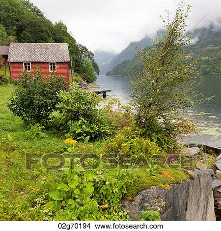 Plants at the riverside with a mountain range in the background, Hardangervidda, Hardanger, Norway View Large Photo Image Picture - Plants at the riverside with a mountain range in the background, Hardangervidda, Hardanger, Norway. Fotosearch