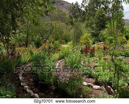 Stock Image - Plants in a garden, Willka Tika, Sacred Valley, Cusco Region, Peru. Fotosearch