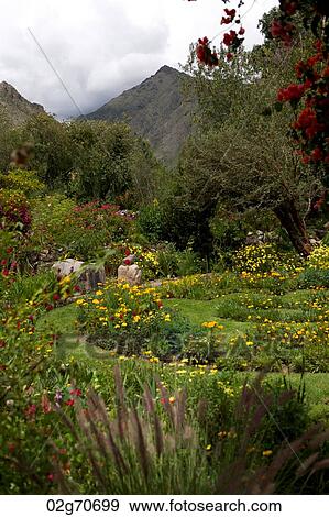 Plants in a garden, Willka Tika, Sacred Valley, Cusco Region, Peru View Large Photo Image Stock Photo - Plants in a garden, Willka Tika, Sacred Valley, Cusco Region, Peru. Fotosearch