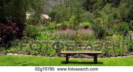 Plants in a garden, Willka Tika, Sacred Valley, Cusco Region, Peru View Large Photo Image Stock Photography - Plants in a garden, Willka Tika, Sacred Valley, Cusco Region, Peru. Fotosearch