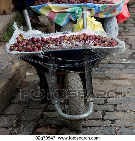 Plum for sale at a market stall on a wheelbarrow, Mercado Central, Cuzco, Peru View Large Photo Image Stock Photo - Plum for sale at a market stall on a wheelbarrow, Mercado Central, Cuzco, Peru. Fotosearch
