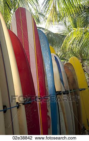 rack of striped multicolourd surfboards being stored at the beach in a palmtree forest View Large Photo Image Stock Image - rack of striped multicolourd surfboards being stored at the beach in a palmtree forest. Fotosearch