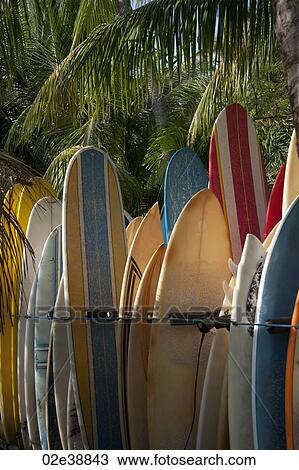 rack of striped multicolourd surfboards being stored at the beach in a palmtree forest View Large Photo Image Stock Image - rack of striped multicolourd surfboards being stored at the beach in a palmtree forest. Fotosearch