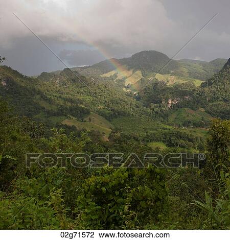 Stock Image - Rainbow over a field, Thailand. Fotosearch