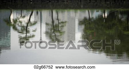 Stock Image - Reflection of trees in water, Kokyo Gaien, Imperial Palace, Tokyo, Japan. Fotosearch