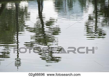 Reflection of trees in water, Kokyo Gaien, Imperial Palace, Tokyo, Japan View Large Photo Image Stock Photograph - Reflection of trees in water, Kokyo Gaien, Imperial Palace, Tokyo, Japan. Fotosearch