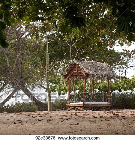 Relaxation bed on the beach in Costa Rica View Large Photo Image Stock Photograph - Relaxation bed on the beach in Costa Rica. Fotosearch