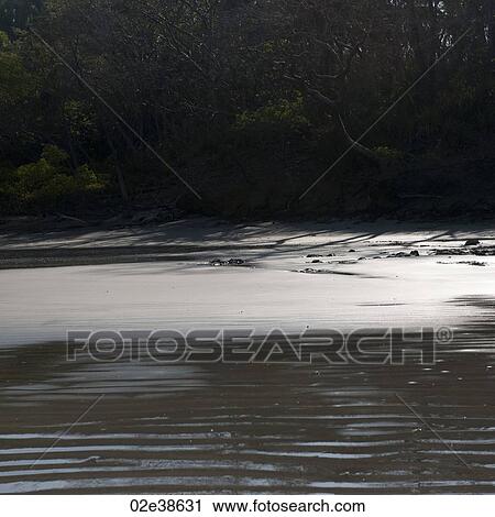 Ripples in the sand along Costa Rica shoreline View Large Photo Image Stock Image - Ripples in the sand along Costa Rica shoreline. Fotosearch