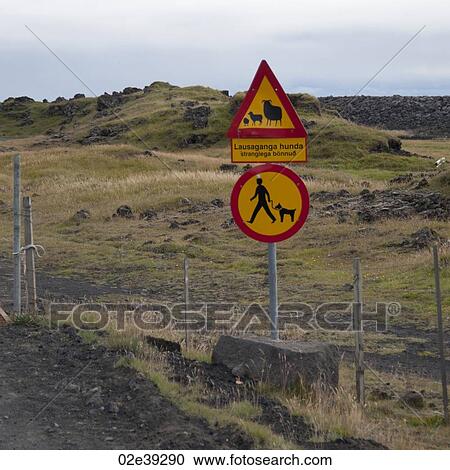 Roadsigns about sheep and dogs in front of pastureland View Large Photo Image Stock Image - Roadsigns about sheep and dogs in front of pastureland. Fotosearch