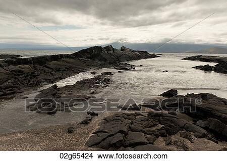 Rocky coast at Punta Espinoza, Fernandina Island, Galapagos Islands, Ecuador View Large Photo Image Picture - Rocky coast at Punta Espinoza, Fernandina Island, Galapagos Islands, Ecuador. Fotosearch