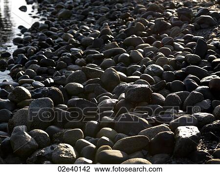 Stock Image - Rocky coastline along Stanley Park in Vancouver, British Columbia, Canada. Fotosearch