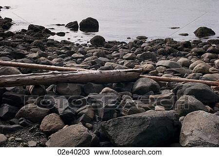 Stock Image - Rocky coastline in Vancouver, British Columbia, Canada. Fotosearch