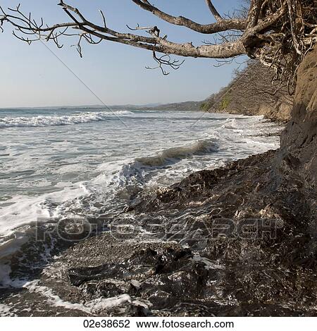 Rocky Costa Rica coastline View Large Photo Image Stock Image - Rocky Costa Rica coastline. Fotosearch