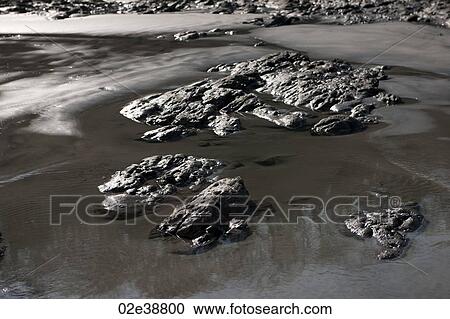 Rocky outcrops on the beach Costa Rica View Large Photo Image Stock Image - Rocky outcrops on the beach Costa Rica. Fotosearch