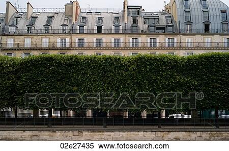 Row of bushes in Paris France View Large Photo Image Stock Photography - Row of bushes in Paris France. Fotosearch