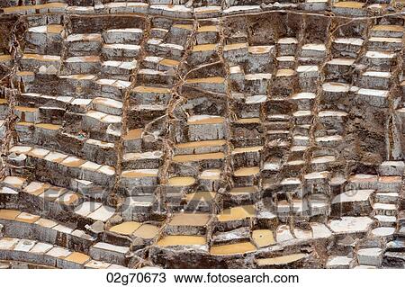 Salt pond, Maras, Sacred Valley, Cusco Region, Peru View Large Photo Image Stock Image - Salt pond, Maras, Sacred Valley, Cusco Region, Peru. Fotosearch