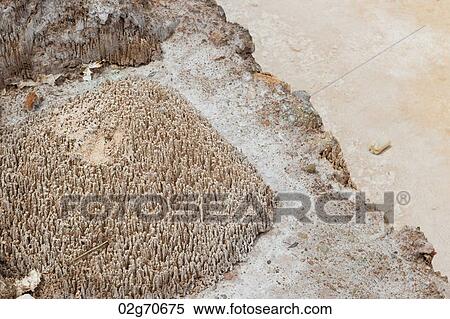 Salt pond, Maras, Sacred Valley, Cusco Region, Peru View Large Photo Image Stock Photography - Salt pond, Maras, Sacred Valley, Cusco Region, Peru. Fotosearch