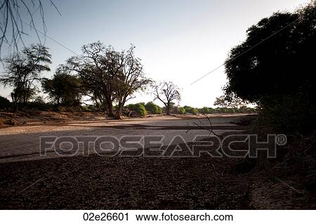 Samburu National Reserve in Kenya View Large Photo Image Stock Image - Samburu National Reserve in Kenya. Fotosearch