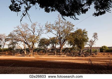 Samburu National Reserve in Kenya View Large Photo Image Stock Image - Samburu National Reserve in Kenya. Fotosearch