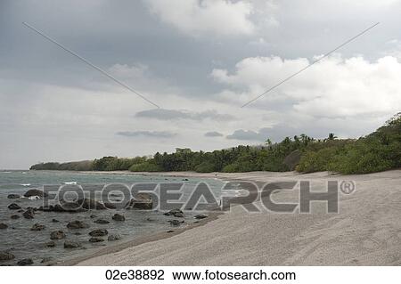 Sandy beach with encroaching trees, with rocks in the surf, on an overcast cloudy day View Large Photo Image Stock Image - Sandy beach with encroaching trees, with rocks in the surf, on an overcast cloudy day. Fotosearch