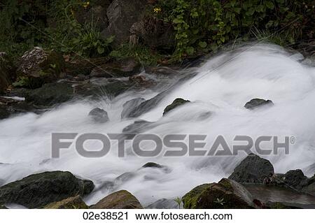 Scenery at lake Taneycomo in Branson, Missouri View Large Photo Image Stock Image - Scenery at lake Taneycomo in Branson, Missouri. Fotosearch