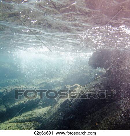 School of fish swimming underwater, Bartolome Island, Galapagos Islands, Ecuador View Large Photo Image Stock Image - School of fish swimming underwater, Bartolome Island, Galapagos Islands, Ecuador. Fotosearch