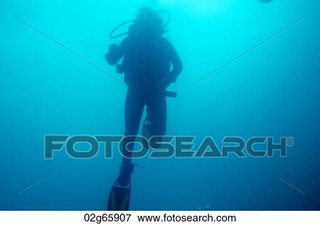 Scuba diver underwater, San Cristobal Island, Galapagos Islands, Ecuador View Large Photo Image Stock Photo - Scuba diver underwater, San Cristobal Island, Galapagos Islands, Ecuador. Fotosearch