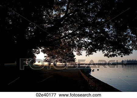 Sea wall at dusk in Vancouver, British Columbia, Canada View Large Photo Image Stock Photo - Sea wall at dusk in Vancouver, British Columbia, Canada. Fotosearch