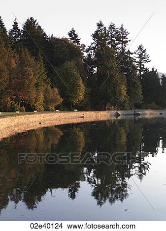 Sea wall reflected in the ocean in Vancouver, British Columbia, Canada View Large Photo Image Picture - Sea wall reflected in the ocean in Vancouver, British Columbia, Canada. Fotosearch