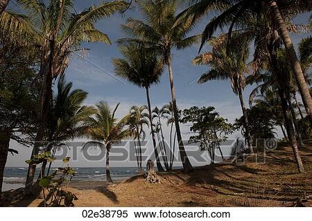 Seascape in San Jose Costa Rica View Large Photo Image Stock Photography - Seascape in San Jose Costa Rica. Fotosearch