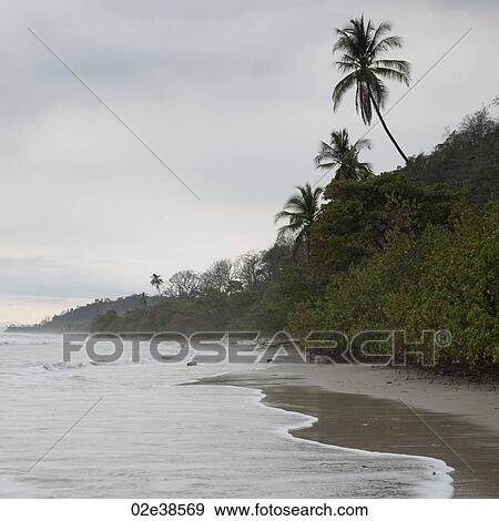Seashore in Costa Rica View Large Photo Image Stock Photo - Seashore in Costa Rica. Fotosearch