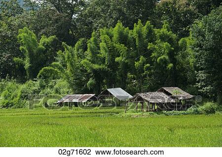 Shelters in a field, Thailand View Large Photo Image Stock Image - Shelters in a field, Thailand. Fotosearch
