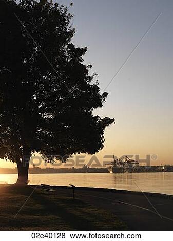 Shoreline at dusk in Vancouver, British Columbia, Canada View Large Photo Image Stock Photo - Shoreline at dusk in Vancouver, British Columbia, Canada. Fotosearch
